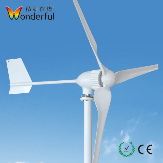 Mulino a vento Maglev 1kw 2kw 3kw 5kw Generatore eolico verticale Generatore eolico a basso livello di rumore inferiore a 40 dB Decorazione domestica Combina sistema solare