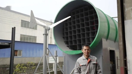 Turbina eolica/mulino eolico/generatore eolico da 1kw