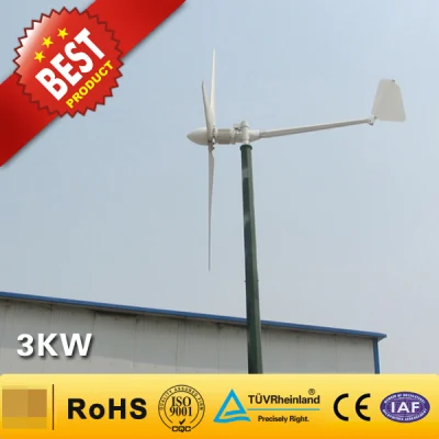 Generatore eolico per uso domestico da 3 kW/sistema generatore di energia eolica (3000 W)